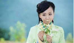 杨蓉演过的电视剧,从古装佳人到现代都市女性的华丽转身