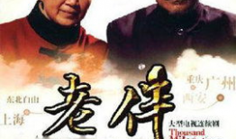 老伴电视剧,温情岁月里的爱情坚守